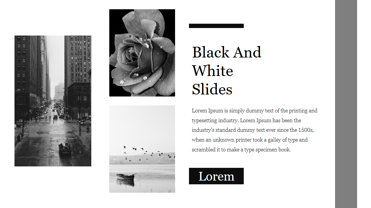 Black And White Slides